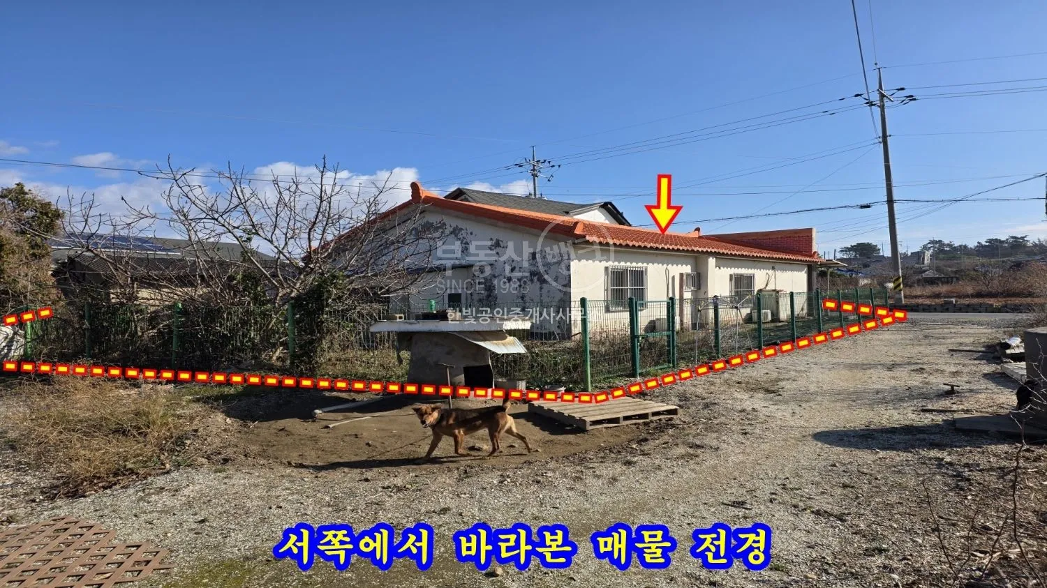 Country House on a Two-Lane Road Near Padori Beach photo 4