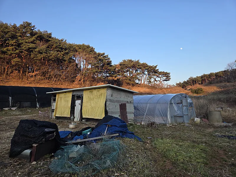 Old Rural House and Land for Sale in Jeongdang-ri, Anmyeondo, Taean, Chungcheongnam-do photo 5