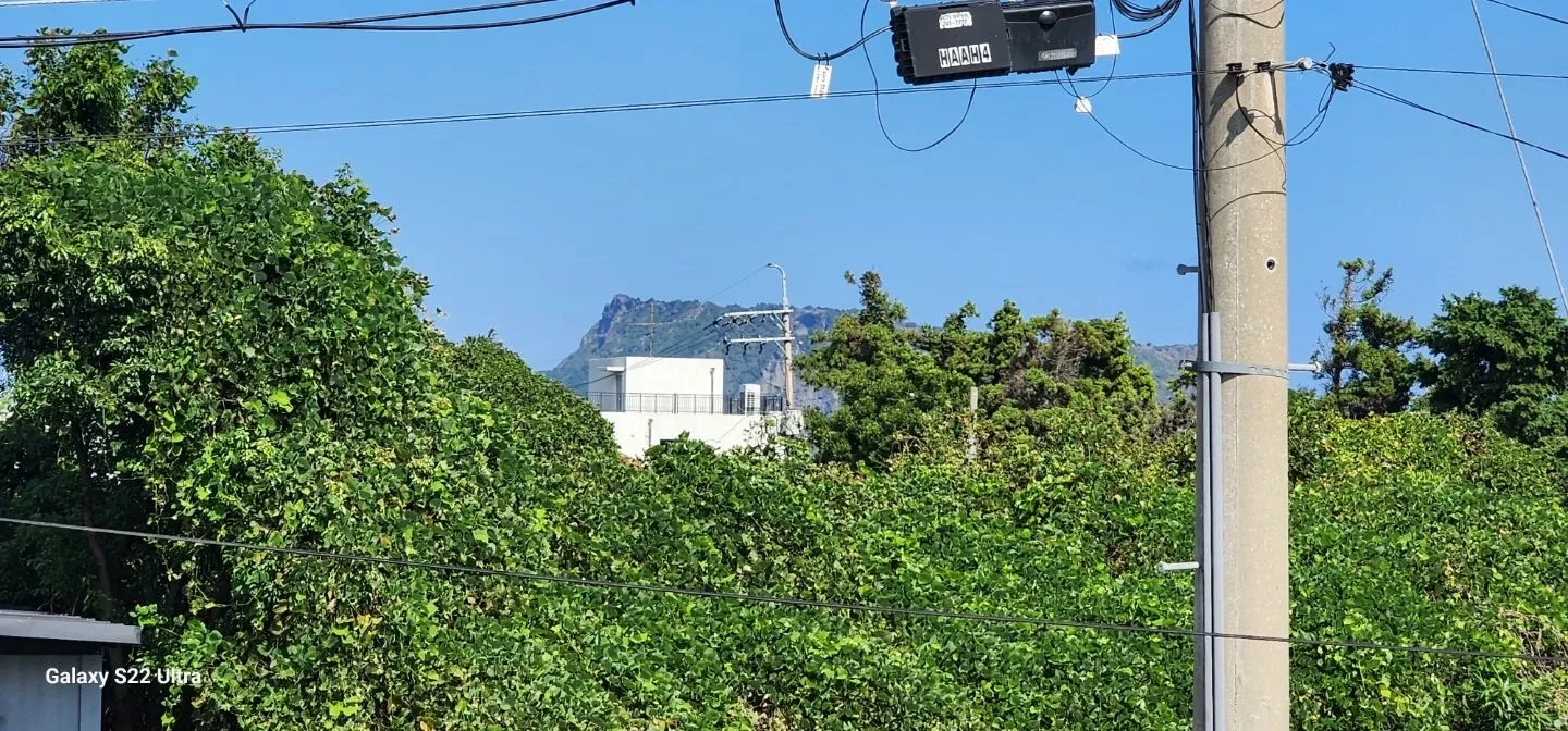 Country House for Sale with a Yard in Seongsan-eup, Seogwipo, Jeju photo 7