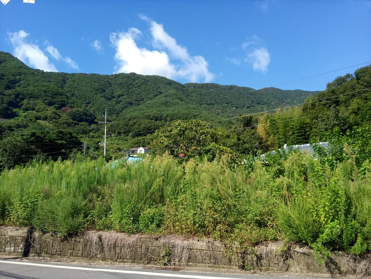 Rural House for Sale in Gaeseung-ri, Garye-myeon, Uiryeong, at the Foot of Jagulsan and Hanuisan photo 4