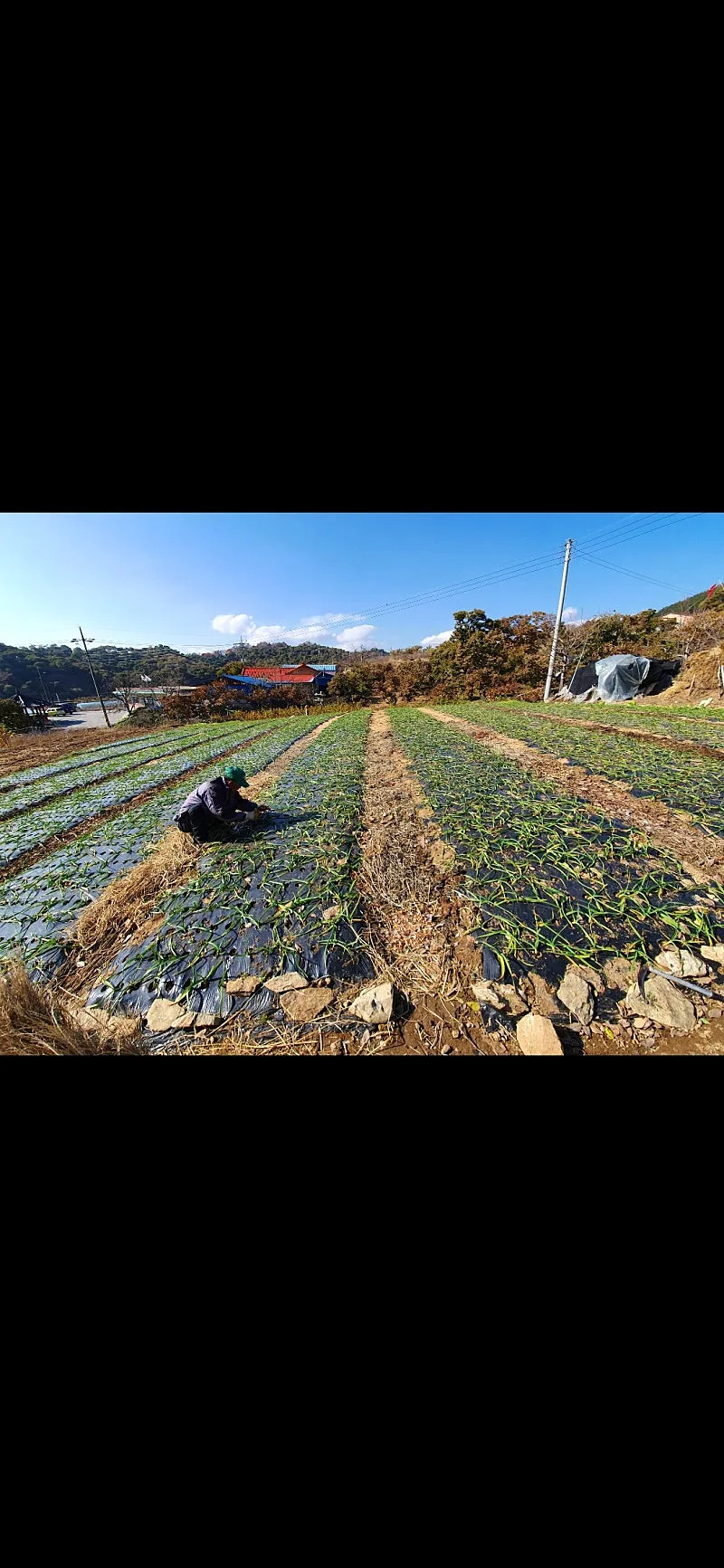 Farmhouse with Field and House for Sale in Guryong-myeon, Buyeo-gun, Chungnam photo 2