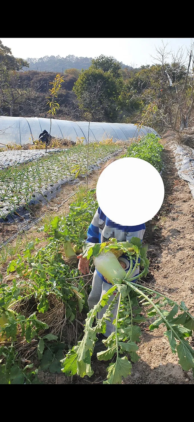 Farmhouse with Field and House for Sale in Guryong-myeon, Buyeo-gun, Chungnam photo 3