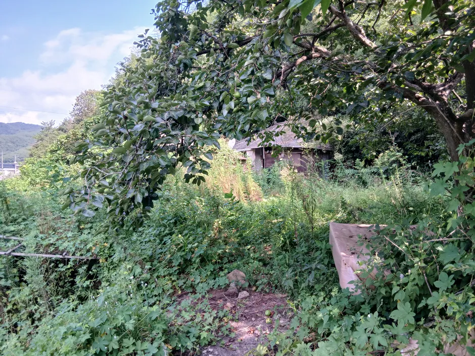 Rural House for Sale in Jeonggok-myeon, Uiryeong, House at the Edge of Daesin Village in Jukjeon-ri photo 8