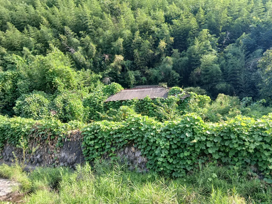 Rural House for Sale in Jeonggok-myeon, Uiryeong, House at the Edge of Daesin Village in Jukjeon-ri photo 9