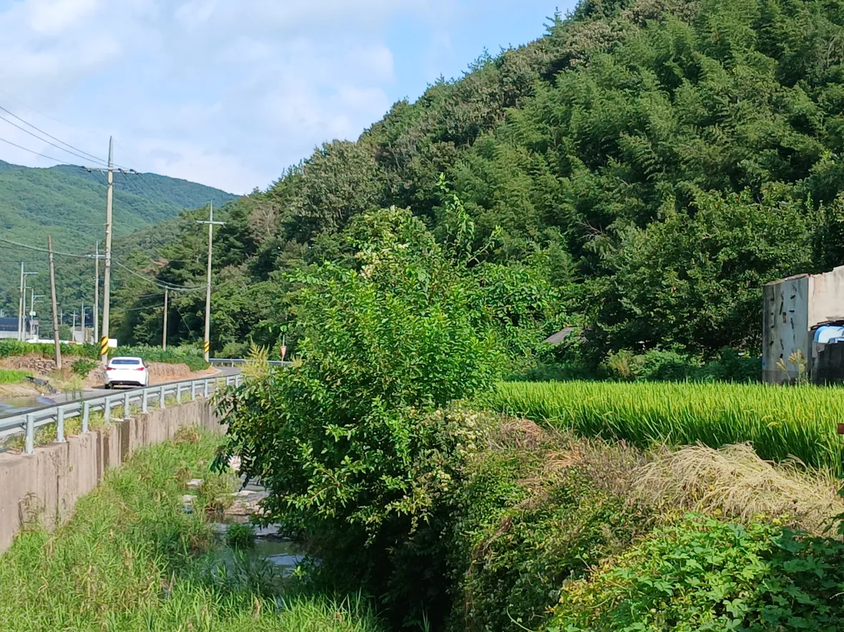 Rural House for Sale in Jeonggok-myeon, Uiryeong, House at the Edge of Daesin Village in Jukjeon-ri photo 6