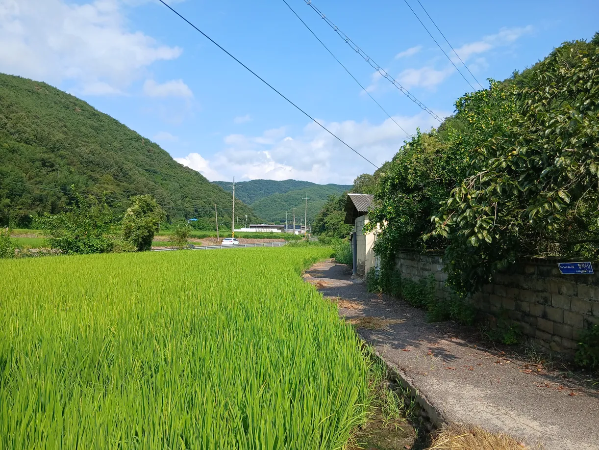 Rural House for Sale in Jeonggok-myeon, Uiryeong, House at the Edge of Daesin Village in Jukjeon-ri photo 2