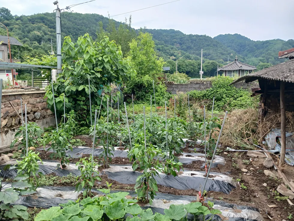 Rural House for Sale in Burim-myeon, Uiryeong-gun, Requiring Full Renovation and Featuring a Vegetable Garden photo 6