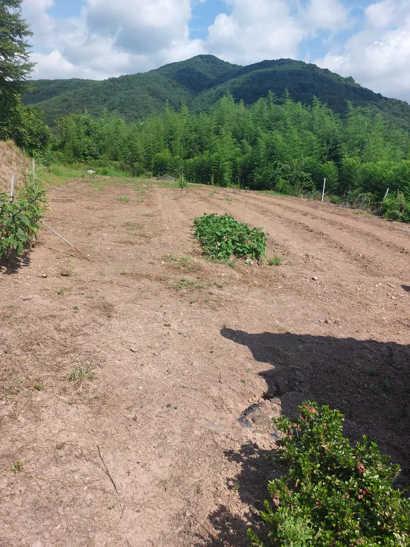 Country House for Sale in Yugok-myeon, Uiryeong, with a Spacious 585-pyeong Garden and Secondary House photo 5