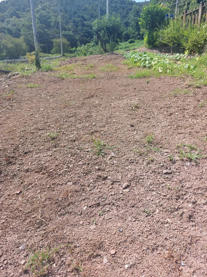 Country House for Sale in Yugok-myeon, Uiryeong, with a Spacious 585-pyeong Garden and Secondary House photo 2