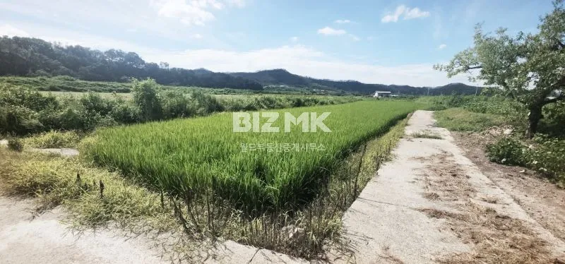 Country House for Sale in Mangho-ri, Iljik-myeon, Andong photo 3