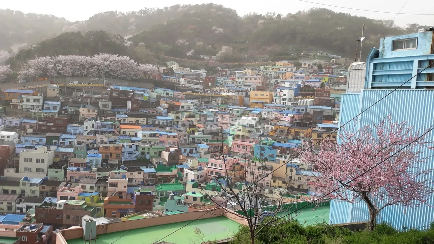Gamcheon-dong Country House for Sale, Asking Price: 57 Million Won photo 5