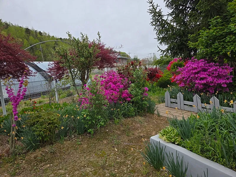 Rural Home for Sale in Yesan, South Chungcheong Province, Featuring a Garden and South-Facing Layout photo 10