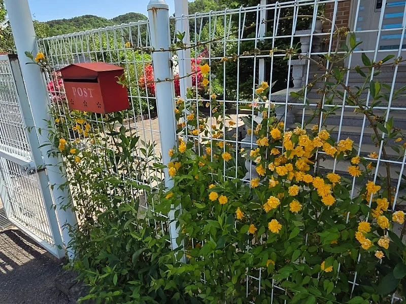 Rural Home for Sale in Yesan, South Chungcheong Province, Featuring a Garden and South-Facing Layout photo 3