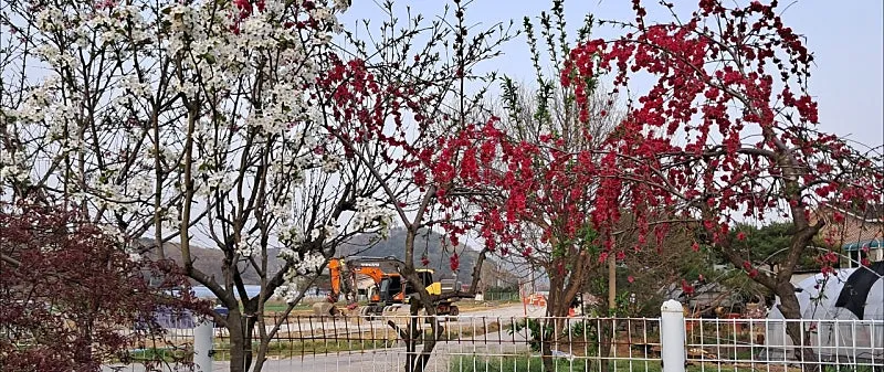 Rural Home for Sale in Yesan, South Chungcheong Province, Featuring a Garden and South-Facing Layout photo 6