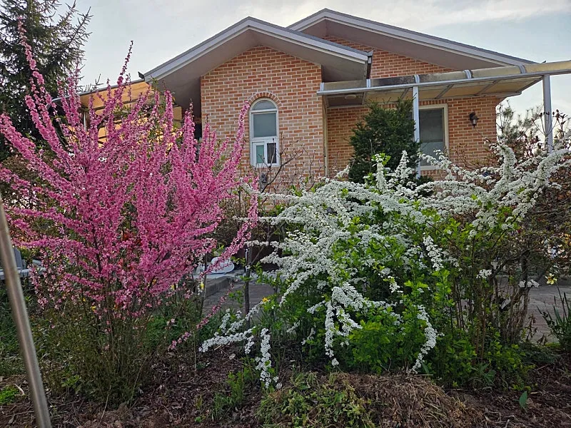 Rural Home for Sale in Yesan, South Chungcheong Province, Featuring a Garden and South-Facing Layout photo 7