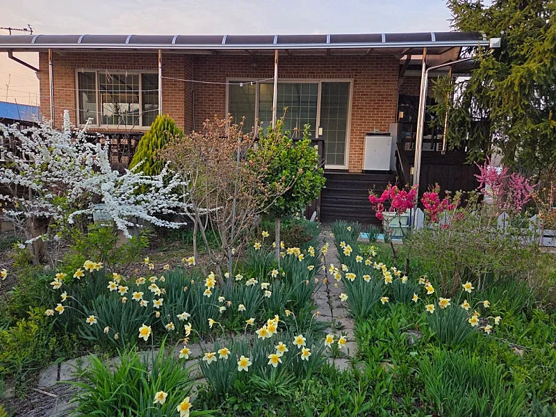 Rural Home for Sale in Yesan, South Chungcheong Province, Featuring a Garden and South-Facing Layout photo 9