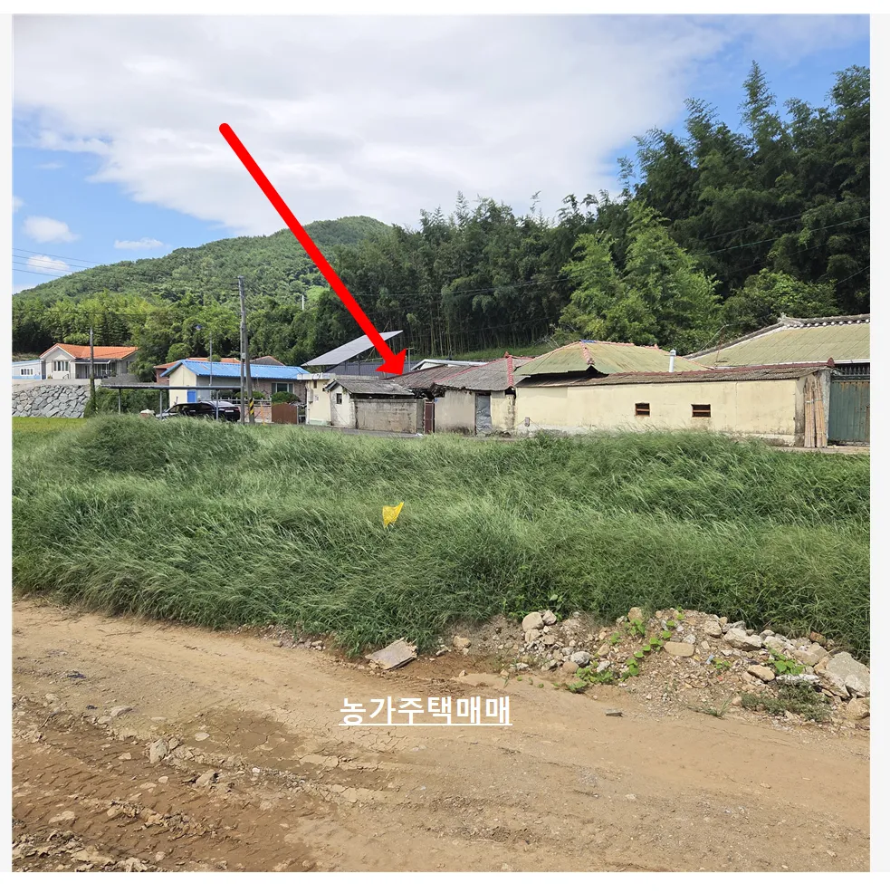 남해군 조용한 농촌마을 가장자리 농가주택 사진 3