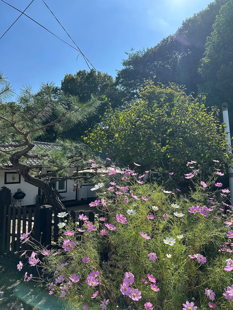 Tile-Roofed Country House for Sale in Danwol-myeon, Yangpyeong photo 3