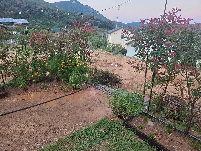 Rural Home and Land for Sale in Seong-ri, Inji-myeon, Seosan, with a Stay-Type Shelter and Vegetable Garden photo 5