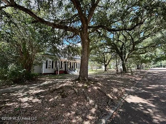 Magnolia, Mississippi 3-Bedroom Home with Guest House for Sale photo 3