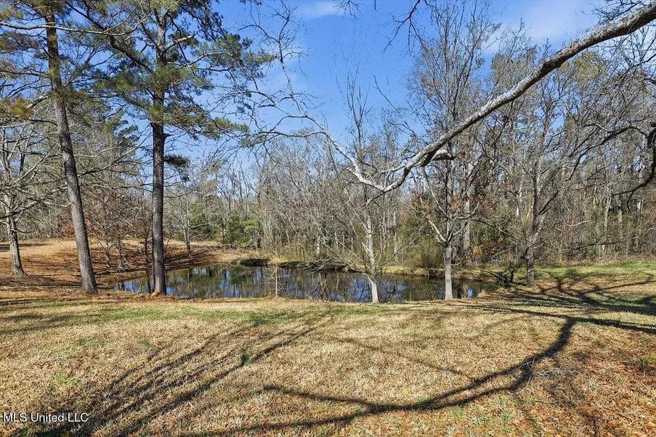 Updated 3-Acre Home for Sale at 13131 New Zion Rd, Crystal Springs, MS photo 4