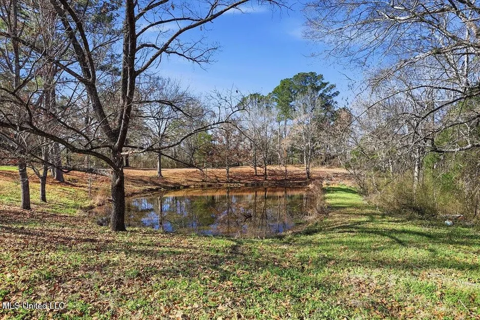 Updated 3-Acre Home for Sale at 13131 New Zion Rd, Crystal Springs, MS photo 5