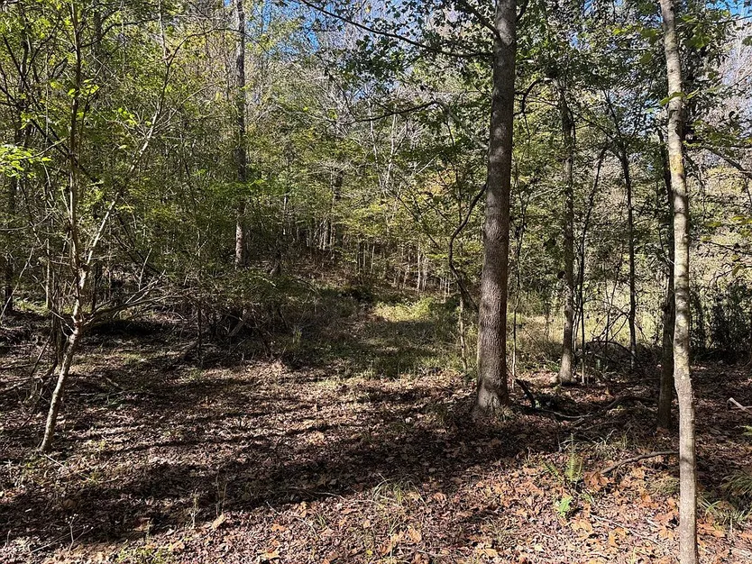 Utica, Mississippi Country Home with 20 Acres and a Porch photo 5