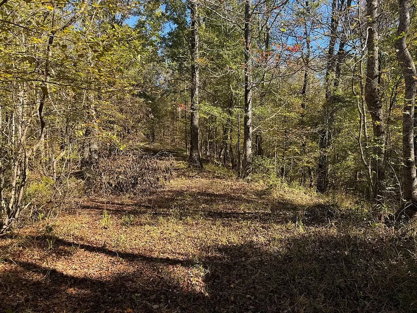 Utica, Mississippi Country Home with 20 Acres and a Porch photo 4