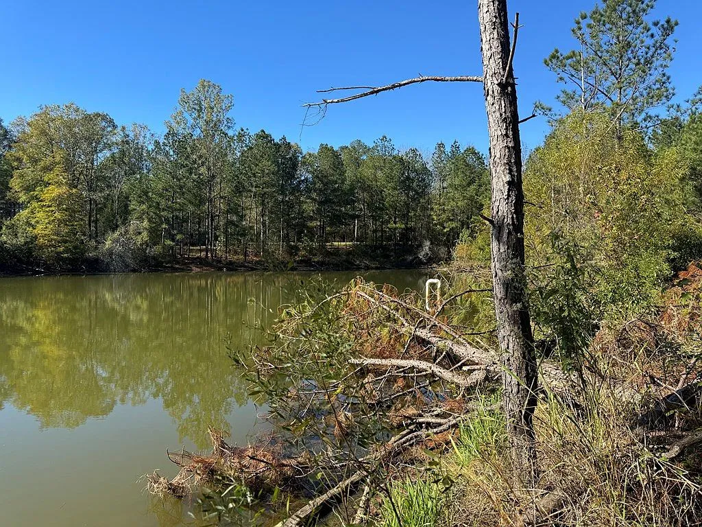 Utica, Mississippi Country Home with 20 Acres and a Porch photo 2