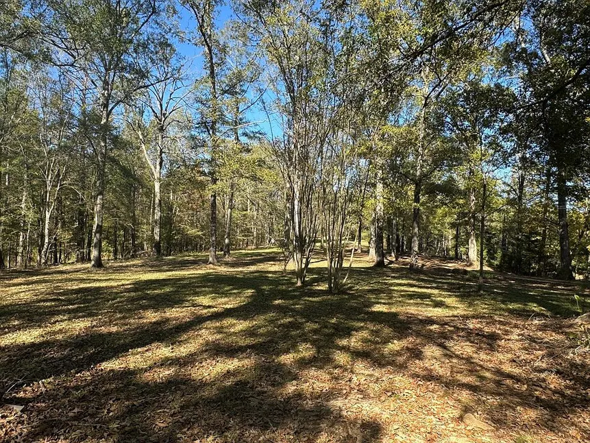 Utica, Mississippi Country Home with 20 Acres and a Porch photo 7