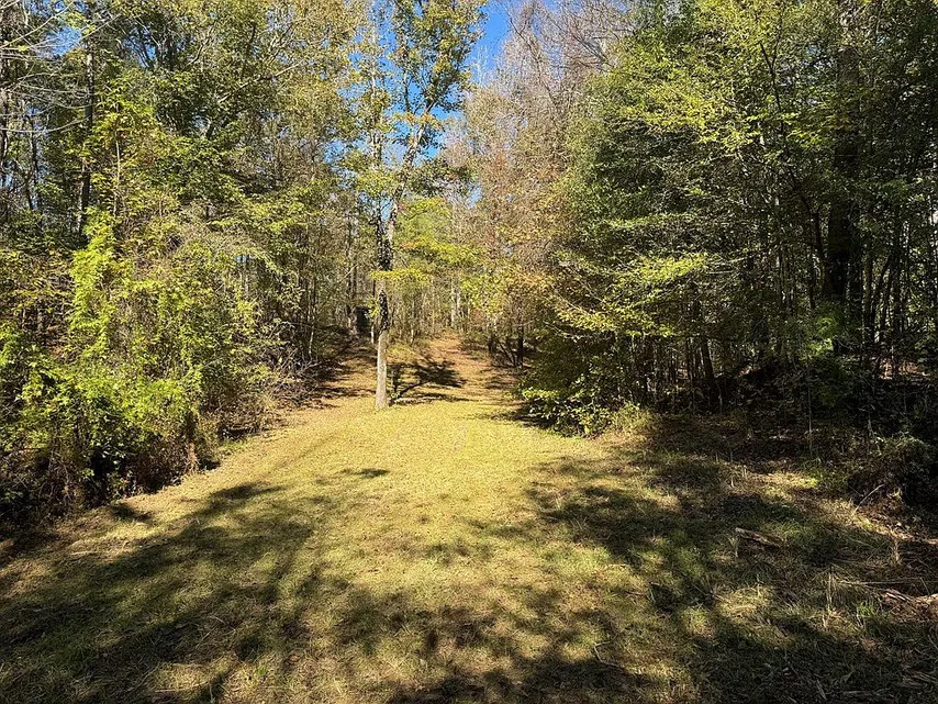 Utica, Mississippi Country Home with 20 Acres and a Porch photo 3