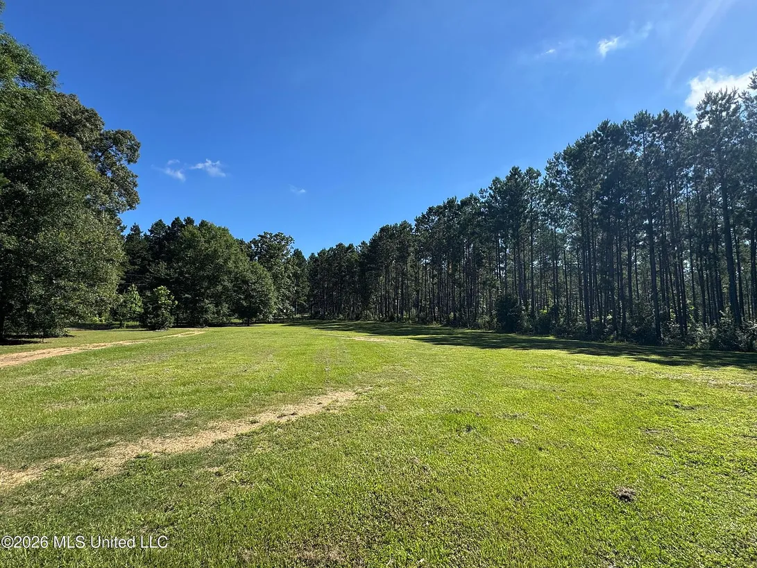 Magnolia, Mississippi Country Home on 2 Acres with 3 Bedrooms photo 5