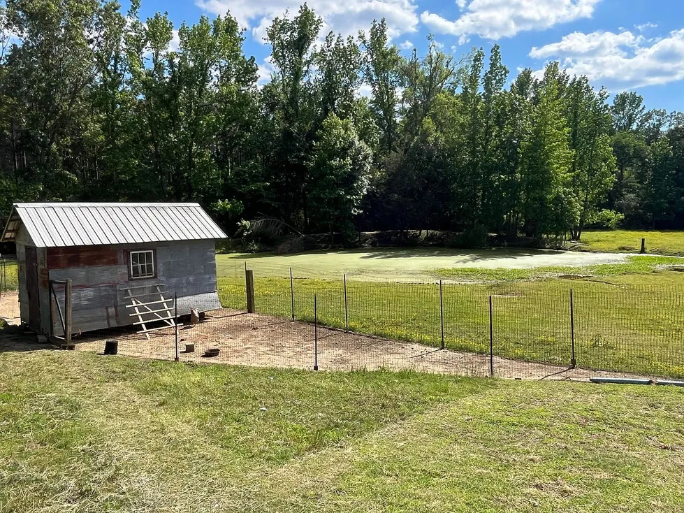 Pontotoc, Mississippi Farmhouse on 45 Acres with 5 Bedrooms photo 7