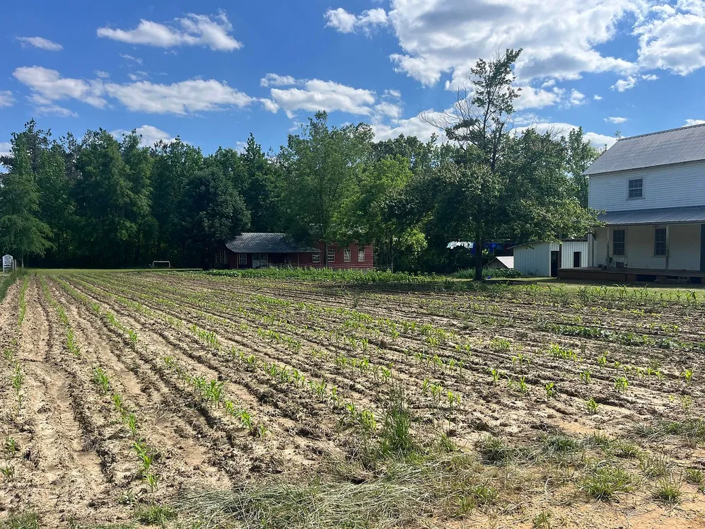 Pontotoc, Mississippi Farmhouse on 45 Acres with 5 Bedrooms photo 4