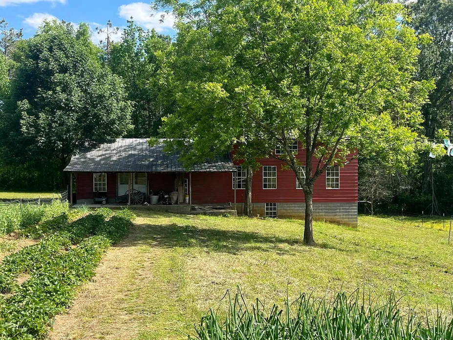Pontotoc, Mississippi Farmhouse on 45 Acres with 5 Bedrooms photo 5