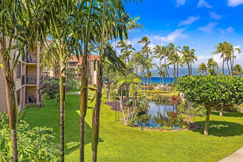 Papakea H201: Remodeled Ocean-View Leasehold Condo in Lahaina, Maui photo 4