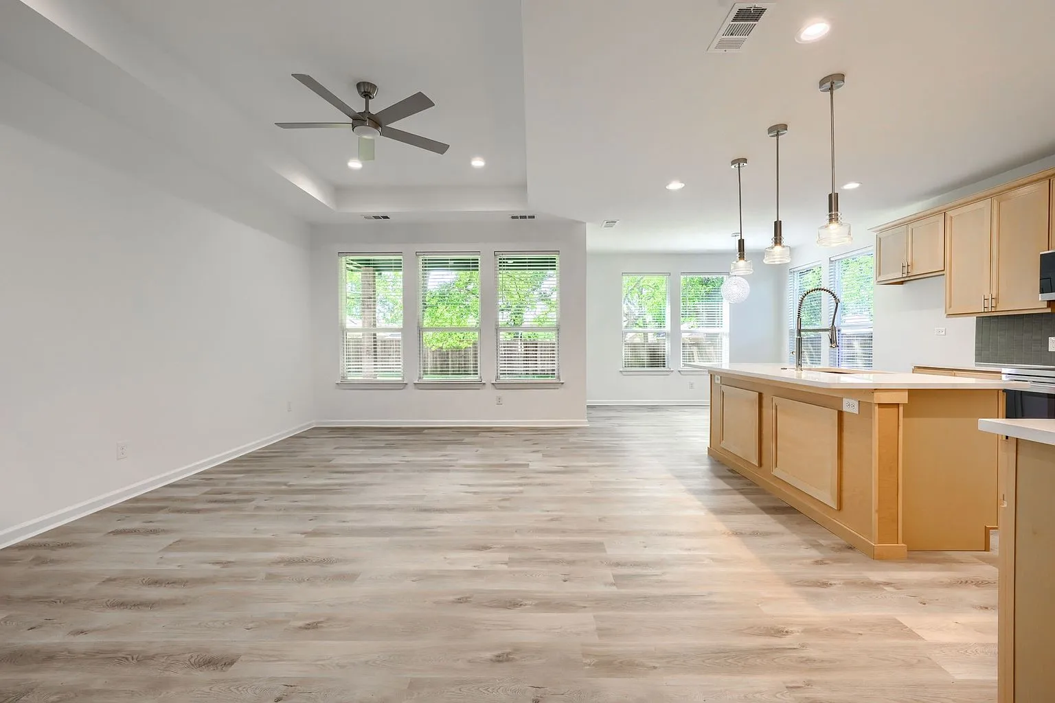 Quinlan, TX New Construction Country Home with 3 Bedrooms for Sale photo 4