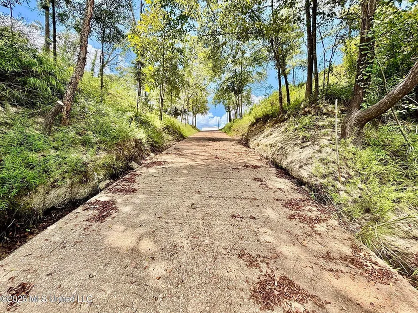 46 Pearl View Cir, Monticello, MS 39654: Riverfront Manufactured Home on 7 Acres photo 8