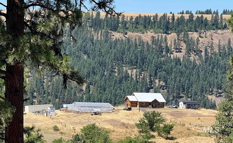 Cedar Log Country Home on 24.686 Acres near Harpster, Idaho County, ID property photo