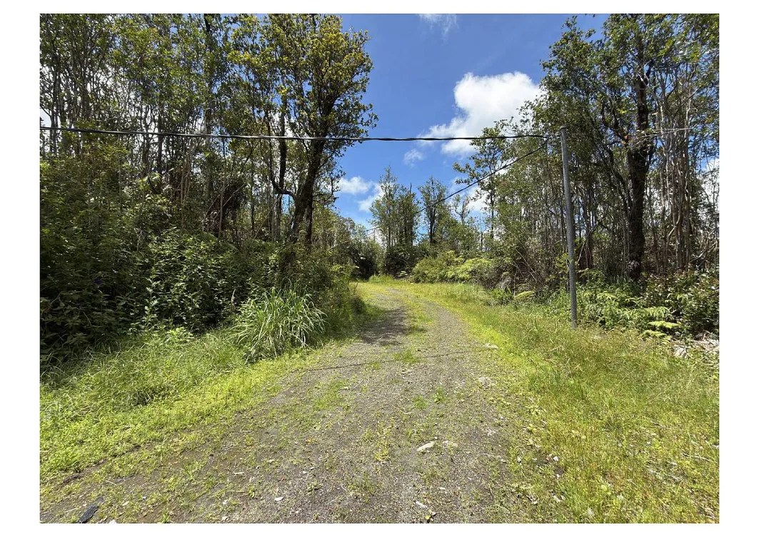 Volcano, Hawaii 6-Acre Country Property with Two Partially Built Houses photo 3
