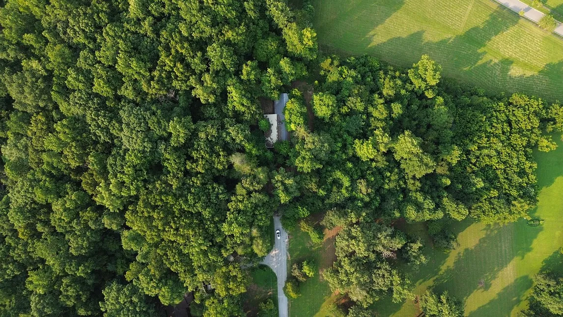 276 Oak Dr, Spring City, TN 37381 | 4-Bedroom Brick Home on 5.61 Acres photo 4