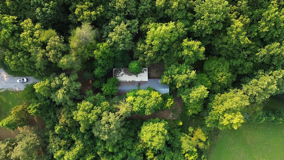276 Oak Dr, Spring City, TN 37381 | 4-Bedroom Brick Home on 5.61 Acres photo 5
