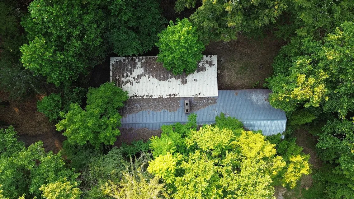 276 Oak Dr, Spring City, TN 37381 | 4-Bedroom Brick Home on 5.61 Acres photo 6