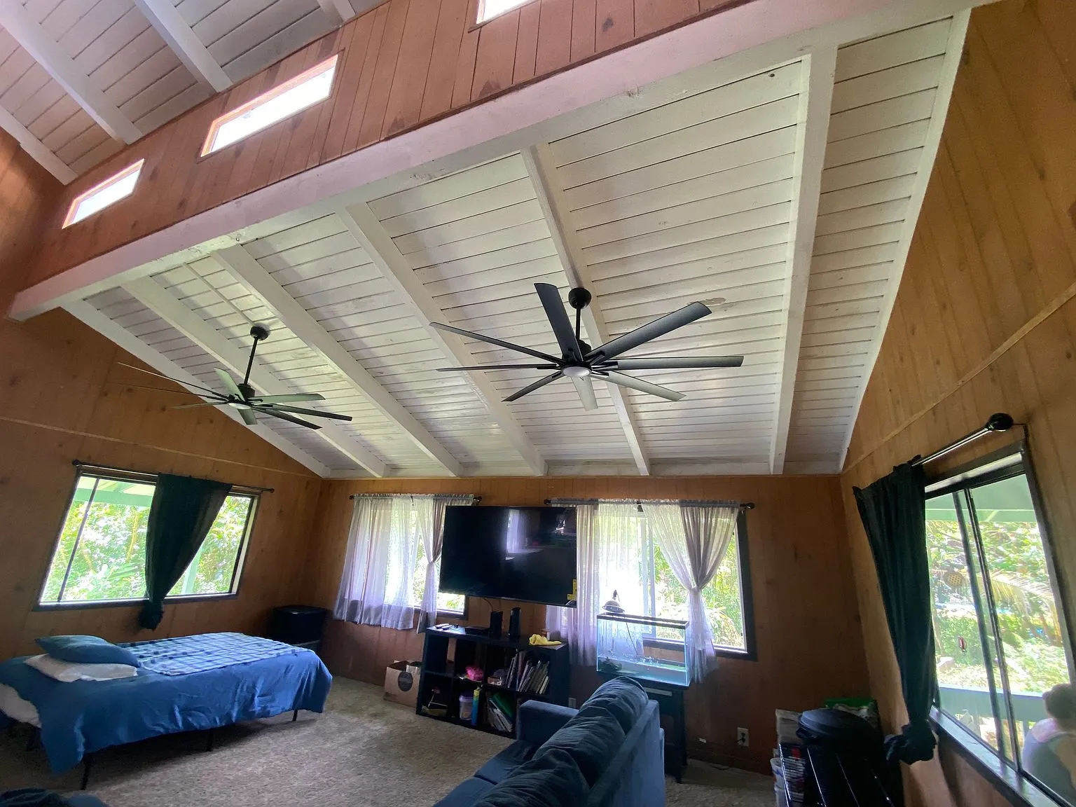 Two-Home Property on 1.097 Acres in Pahoa, Hawaii photo 7