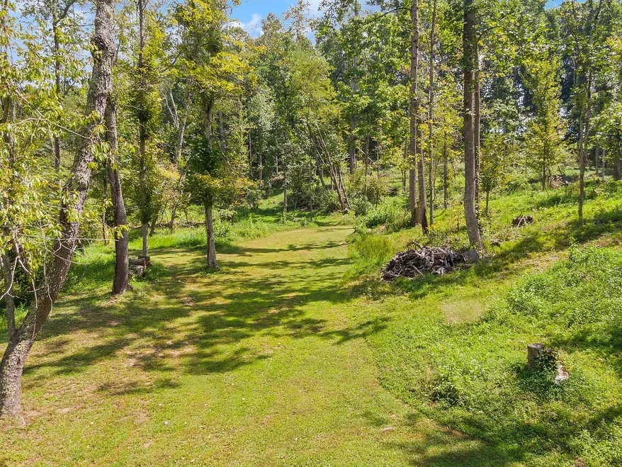 4681 Fishers View Rd, Pilot, VA 24138 | 11.75-Acre Auction Property photo 6