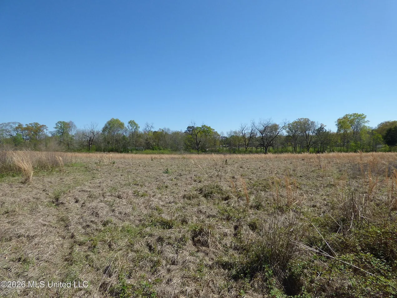 Spacious Centreville Single-Family Home on 17.45 Acres photo 7