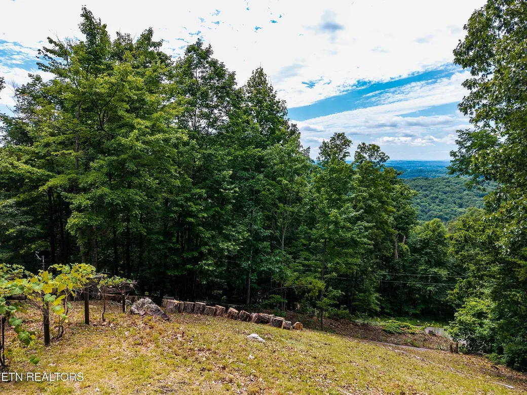 Fully Furnished Mountain Home on 5.43 Acres in Maryville, Tennessee photo 5
