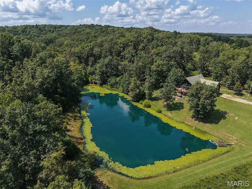 Private Ozark Retreat with A-Frame Home, Pond, Shop, and 13.12 Acres in Marble Hill, Missouri photo 6